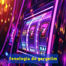 fenologia do gergelim